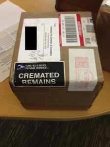 The cremated remains were mailed back to us by the 3 crematoriums.