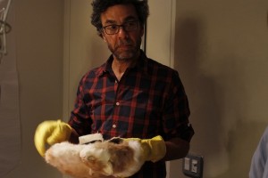 Stephen Dubner holding a fake cat. (Photos: Michael Katzif / WNYC)