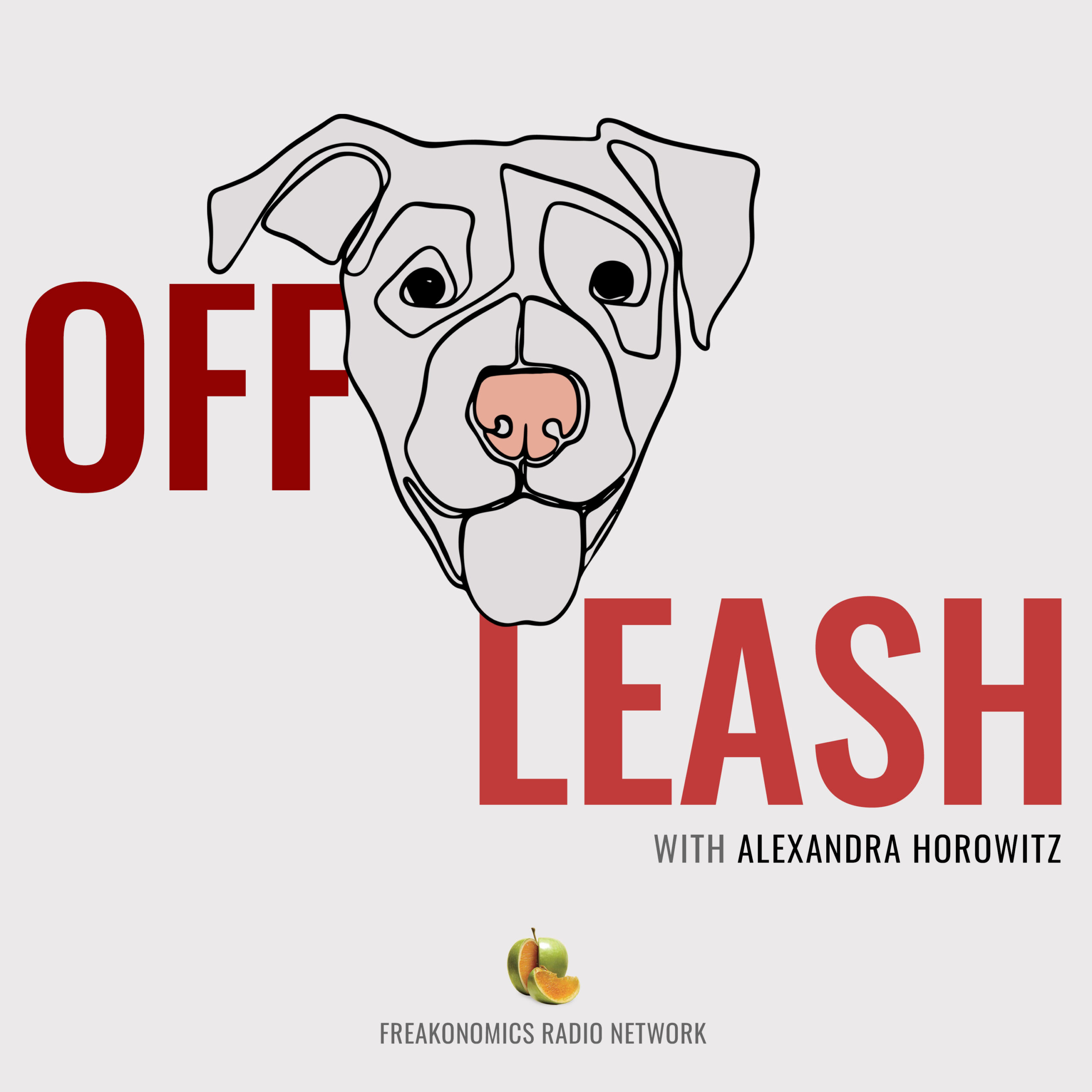 First Case Study - A Grieving Dog - The Other End of the Leash